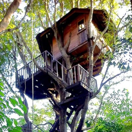 Rabeang Pasak Tree House Resort Чиангмай Екстериор снимка